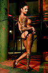 Bonnie Rotten de hete getatoeëerde milf